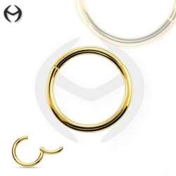 copy of 18K Rose Gold Steel Segment Ring Clicker
