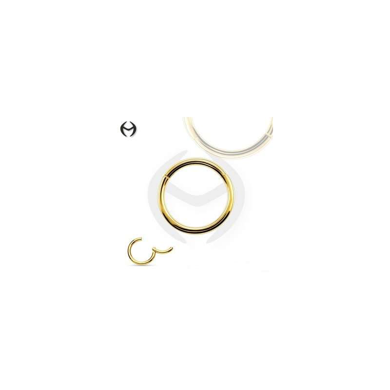 copy of 18K Rose Gold Steel Segment Ring Clicker