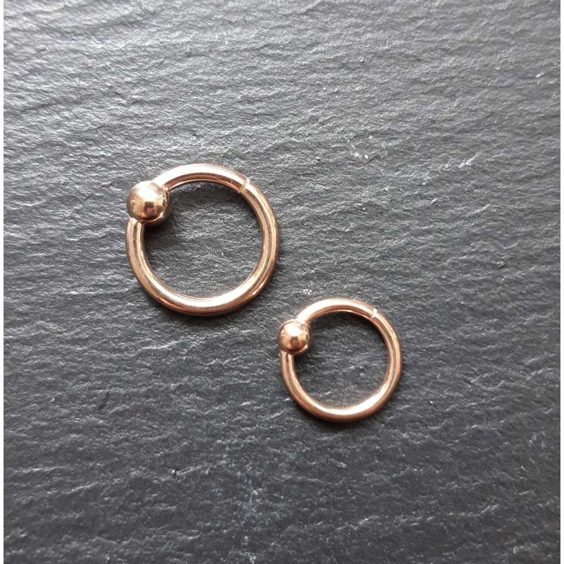 copy of 18K Gold Steel Segment Ring Clicker