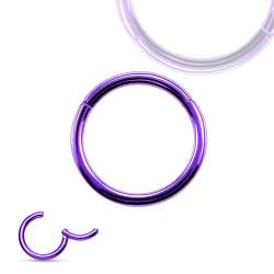 Purple Steel Segment Ring...